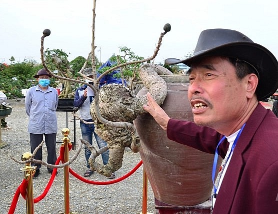 Theo ông Hòa, cây gạo độc lạ này do thiên tạo chứ con người không thể làm nổi.