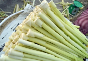 Cây cỏ mọc hoang khắp đầm lầy tưởng không ăn được hoá ra lại chế biến được vô số món ngon