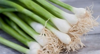 Nhiều người sợ hãi tránh xa nhưng loại rau này lại đem đến nhiều lợi ích bất ngờ