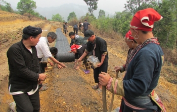 Trồng cây dược liệu quý, nhiều dự án 