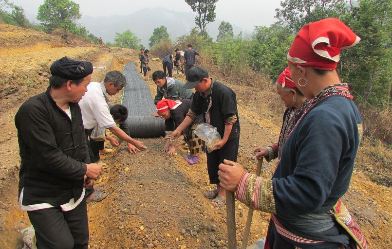 Ở những vùng đồng bào dân tộc thiểu số và miền núi xuất hiện nhiều dự án trồng cây dược liệu quy mô lớn. Ở những vùng đồng bào dân tộc thiểu số và miền núi xuất hiện nhiều dự án trồng cây dược liệu quy mô lớn.