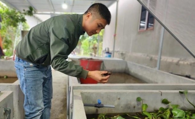 Anh Thuần chia sẻ về cách nuôi con cà cuống