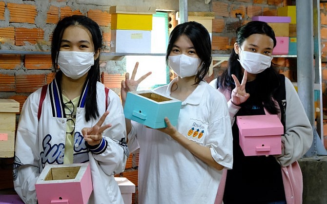 Các bạn trẻ thích thú với loài ong hiền lành mà trung thành nên chọn lựa làm thú cưng.