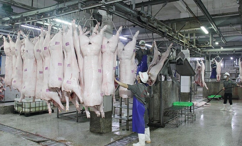 dịp Tết Nguyên đán năm 2023 sức mua của người dân khá thấp, trong khi đó nguồn cung lại rất dồi dào nên giá thịt heo không biến động nhiều.