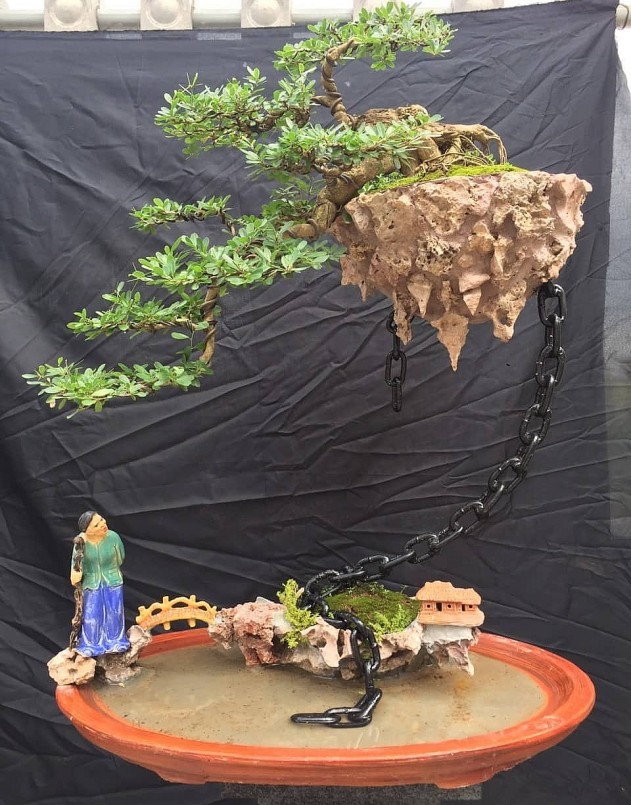 Minh lựa chọn và sắp xếp nguyên liệu sao cho tiểu cảnh không đơn điệu nhưng đầy tinh tế.