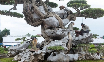 Sanh cổ 'Phù Đổng Thiên Vương' có xứng tầm kỳ quan lớn nhất Việt Nam?