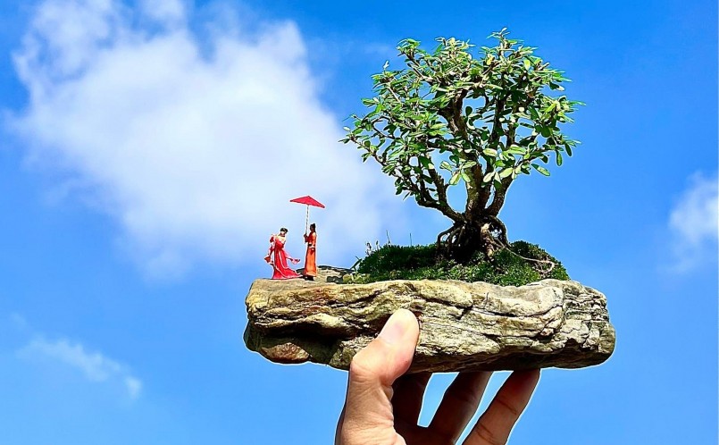 Những mẫu tiểu cảnh bonsai đơn giản nhưng tinh tế của anh Quỳnh.