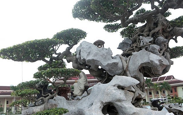 Chủ nhân của tác phẩm này cho biết, trước kia, cây đặt trên một chậu nhỏ không phù hợp, sau khi mua về đặt cây lên chậu lớn làm tôn lên sự mạnh mẽ của cây.