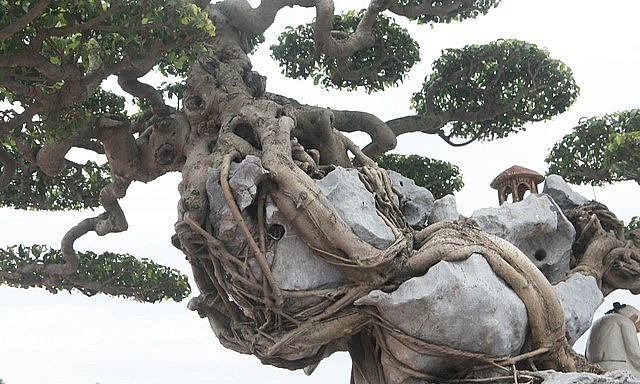 Khối đá trước khi được sử dụng, nghệ nhân phải dùng axit tẩy lớp vỏ bên ngoài, sau đó đưa xuống bùn ao ngâm hơn một năm.