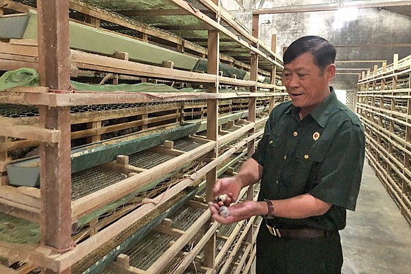 Đầu năm mua những món đồ này để cả năm may mắn, giàu sang