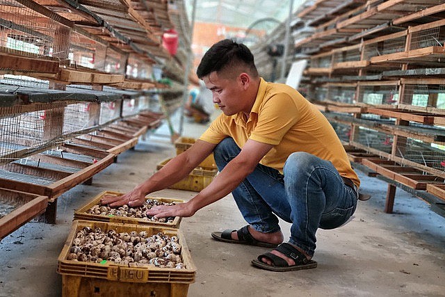 Đầu năm mua những món đồ này để cả năm may mắn, giàu sang