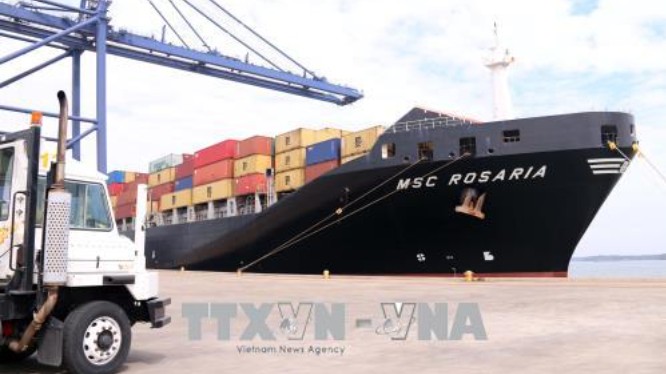 Cảng biển tấp nập đón tàu lớn làm hàng đầu năm