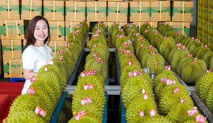 Sầu riêng được kỳ vọng sẽ đứng vào hàng ngũ