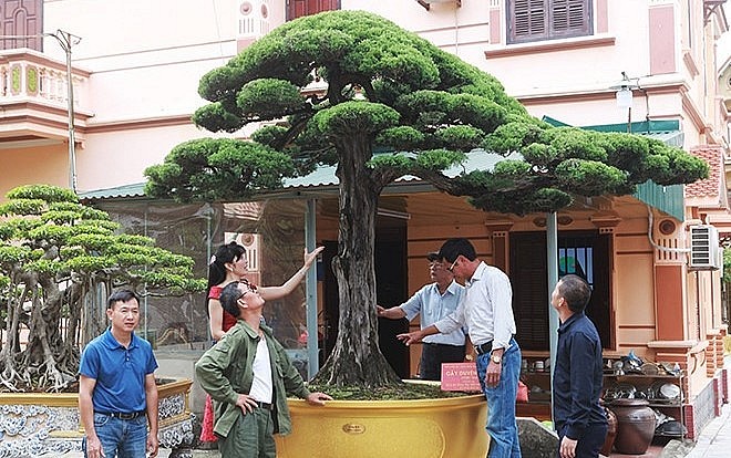 Tác phẩm duyên tùng được coi có dáng đẹp nhất Việt Nam được định giá 1 triệu USD.