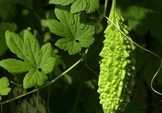 Thực phẩm giúp thải độc gan hiệu quả sau khi sử dụng bia rượu