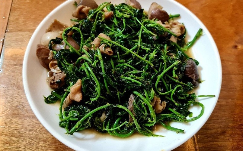 Chỉ cần chế biến đơn giản là có ngay món ăn từ cây rau sâm ngũ gia bì hương rất tốt cho sức khỏe. Chỉ cần chế biến đơn giản là có ngay món ăn từ cây rau sâm ngũ gia bì hương rất tốt cho sức khỏe.