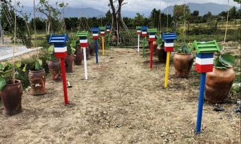 Giới trẻ thích thú nuôi ong cảnh làm thú cưng lại bán mật thu tiền triệu mỗi tháng