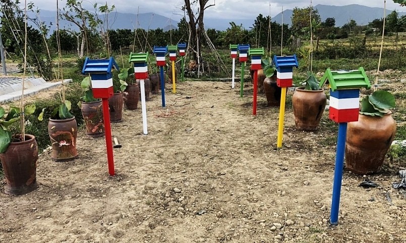 Nở rộ phong trào nuôi ong cảnh.