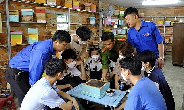 Nhiều bạn trẻ thích thú tìm hiểu về mô hình nuôi ong dú. 