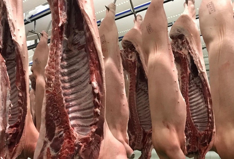 Thị trường đã quay trở lại bình thường sau kỳ nghỉ tết nhưng sức mua vẫn còn chậm do lượng thịt heo tích trữ dồi dào. 