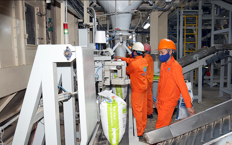 Xuất khẩu thức ăn gia súc năm 2022 đạt 1,13 tỷ USD