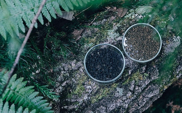 Trà chu hi cha làm từ phân sâu bướm có hương thơm rất đặc biệt.