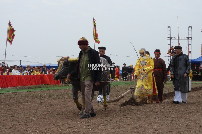 Ngày hội xuống đồng lớn nhất vùng đồng bằng Bắc Bộ