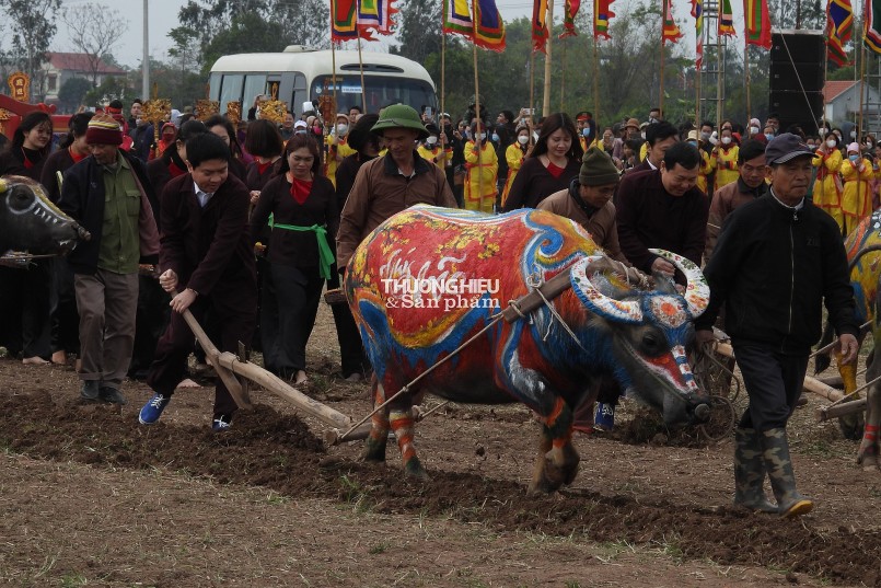 Ngày hội xuống đồng lớn nhất vùng đồng bằng Bắc Bộ