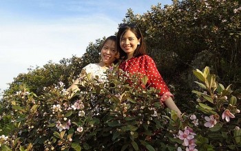 Làm chuyện ngược đời lên rừng trồng sim ai ngờ thành triệu phú