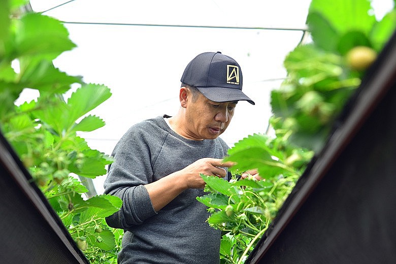 Anh Nam kể anh biết đến IoT cũng là một cơ duyên. Đầu năm 2018, trong một lần được qua Nhật Bản học tập, nghiên cứu ngắn hạn ngay tại vùng chuyên canh tác dâu tây tự động bằng công nghệ IoT, anh nhận thấy ở Đà Lạt có rất nhiều lợi thế để trồng dâu tây nhưng chưa được tận dụng hết