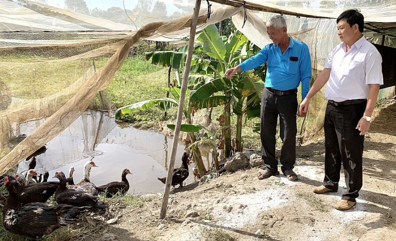 Tham gia mô hình nuôi vịt xiêm người dân được hỗ trợ con giống, kỹ thuật và 50% tiền đầu tư máy ấp trứng.