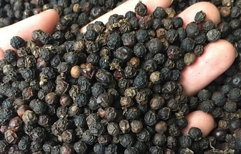 Giá nông sản hôm nay (30/1) thị trường hồ tiêu vẫn còn nhiều khó khăn.