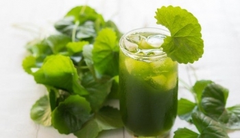 Người mắc viêm đường tiết niệu nên ăn gì để mau khỏi bệnh?