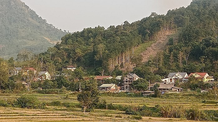 Nhà lầu mọc lên như nấm