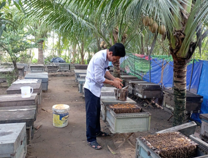 Anh Nìm thu hoạch mật ong