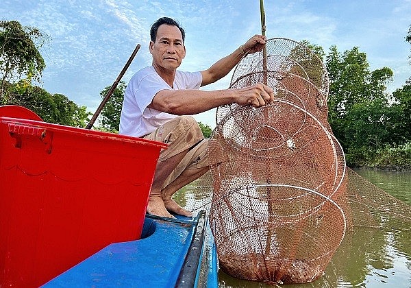 Nuôi thủy sản dưới tán rừng chủ yếu sử dụng nguồn thức ăn tự nhiên, chi phí đầu tư thấp