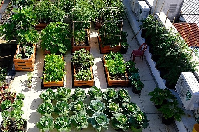 Vợ chồng chị chia sân thượng thành các khu để tiện cho quá trình chăm sóc.Ảnh NVCC