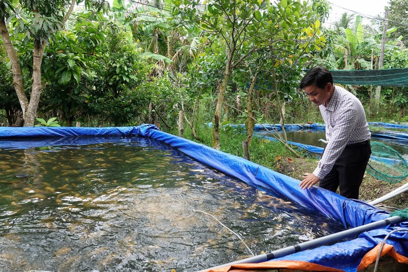 Anh Thức bên bể nuôi cá Anh Thức bên bể nuôi cá