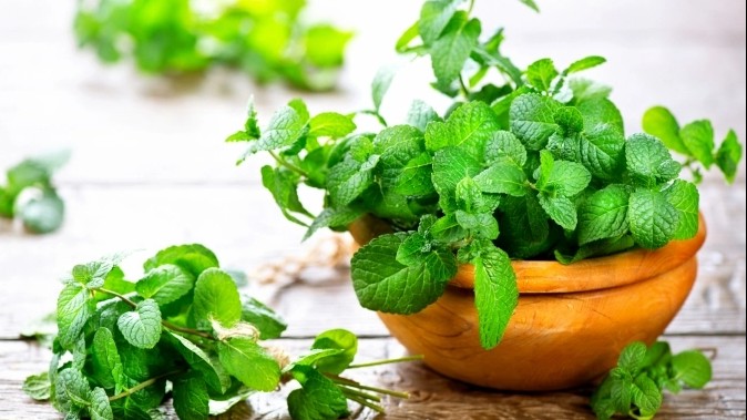 EU công bố một số quy định kiểm soát an toàn thực phẩm nhập khẩu