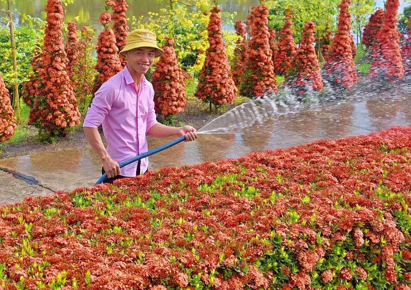Chàng trai Lưu Hữu Phước với bức tường hoa và tấm lòng hiếu hạnh khiến nhiều người cảm động.