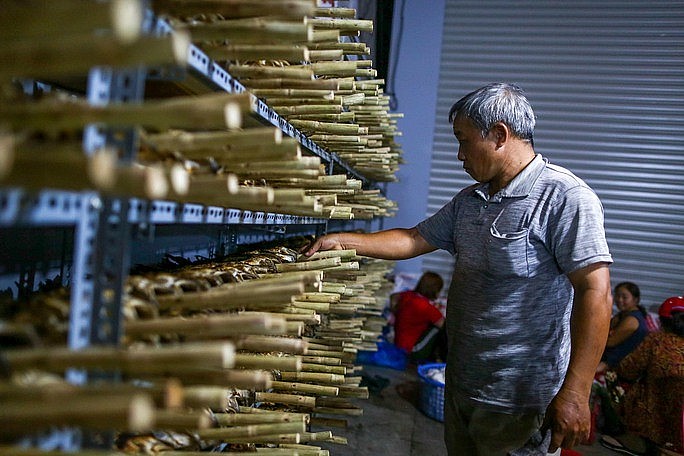 hàng ngàn con cá lóc đã nướng xong được xếp gọn gàng trên kệ hàng ngàn con cá lóc đã nướng xong được xếp gọn gàng trên kệ