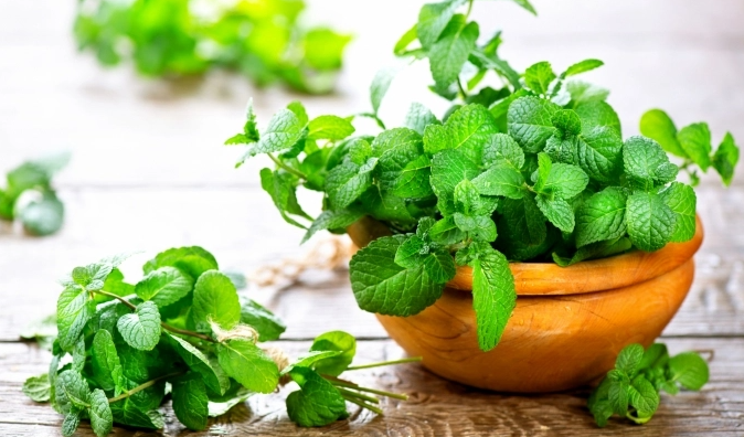 rau mùi, húng quế, bạc hà, mùi tây đã được đưa ra khỏi danh mục kiểm soát