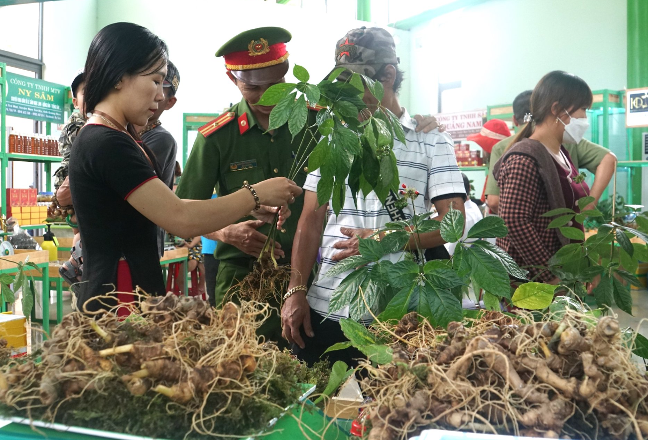 Lễ hội Sâm cấp quốc gia lần thứ I/2023 dự kiến sẽ tổ chức vào đầu tháng 8