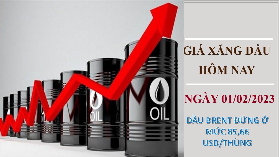 Giá dầu hôm nay quay đầu tăng mạnh