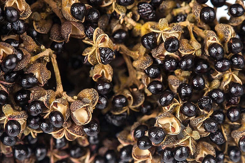 Hạt mắc khén có chứa nhiều tinh dầu 