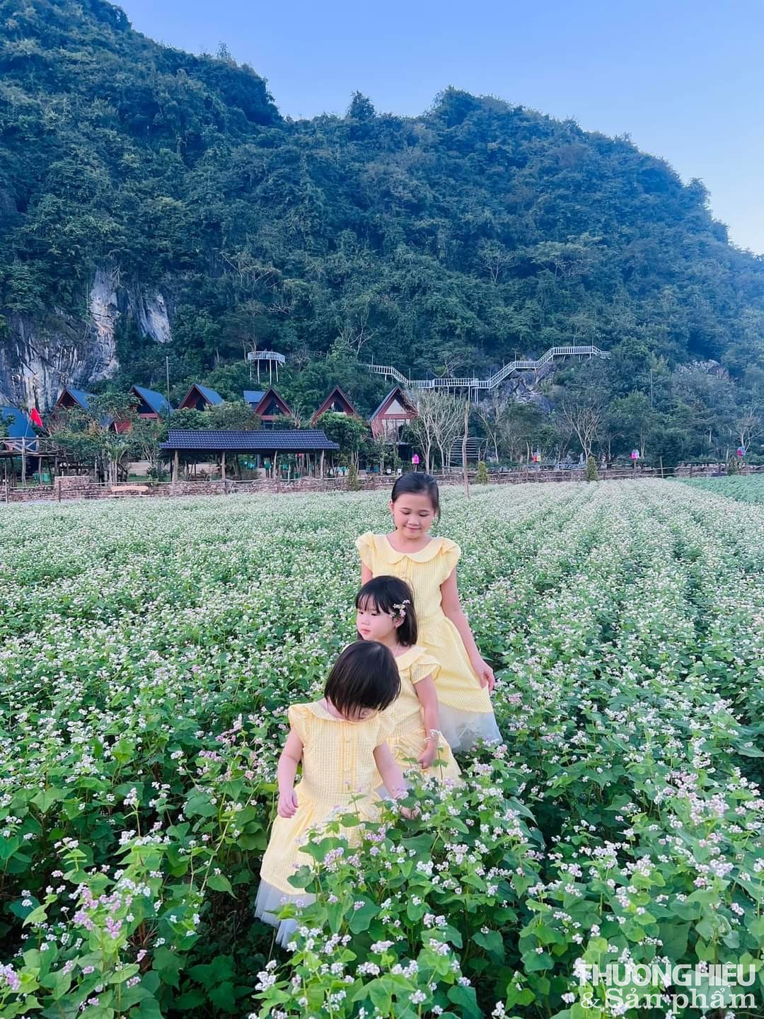 Lèn Chùa Ecostay phát triển du lịch theo hướng thăm quan và trải nghiệm thiên nhiên