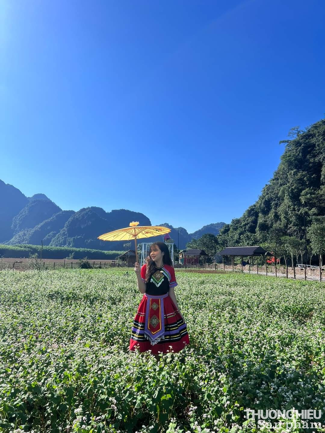 Lèn Chùa Ecostay phát triển du lịch theo hướng thăm quan và trải nghiệm thiên nhiên