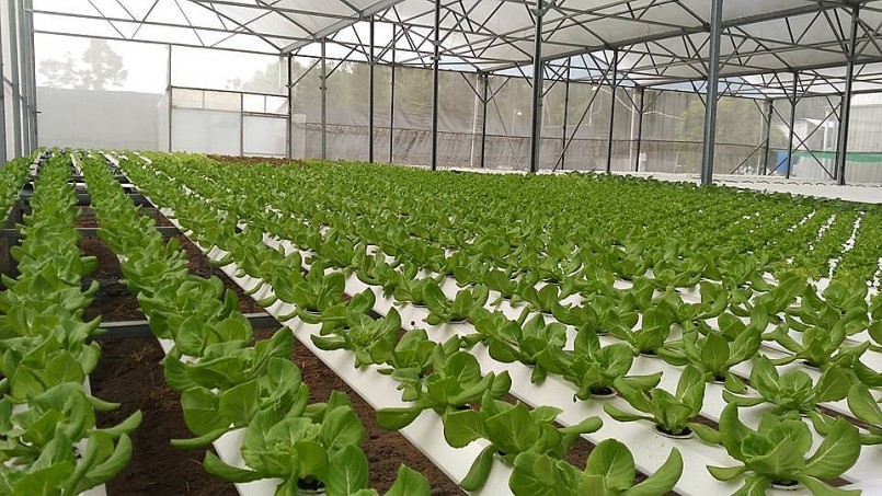 Thanh Hóa: Xác định công tác bảo đảm an toàn thực phẩm là nhiệm vụ trọng tâm Thanh Hóa: Xác định công tác bảo đảm an toàn thực phẩm là nhiệm vụ trọng tâm