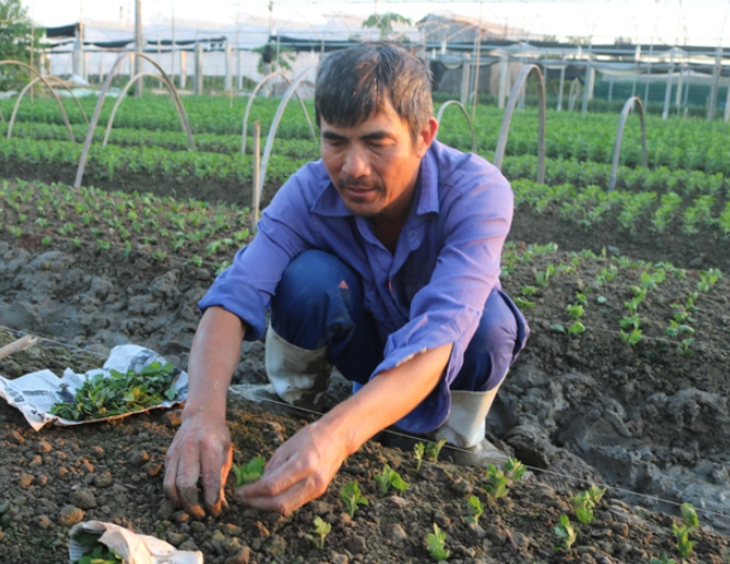 Thanh Hóa: Xác định công tác bảo đảm an toàn thực phẩm là nhiệm vụ trọng tâm Thanh Hóa: Xác định công tác bảo đảm an toàn thực phẩm là nhiệm vụ trọng tâm