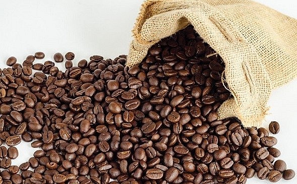 Giá nông sản hôm nay (02/2) thông tin hỗ trợ giá cà phê khi sản lượng cà phê thâm hụt được dự báo rất lớn.